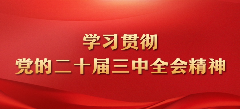 学习贯彻党的二十届三中全会精神